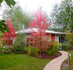 Dalrymples Guest Cottages - Accommodation Gladstone