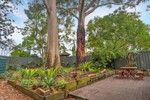 The Pines Bed & Breakfast - Accommodation Gladstone 0