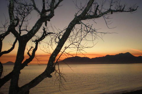 Daintree Village Hideaway - Accommodation Gladstone 3