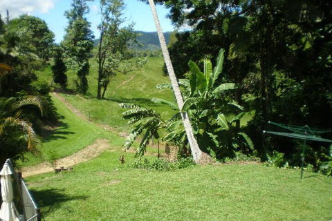 Daintree Village Hideaway - Accommodation Gladstone 5