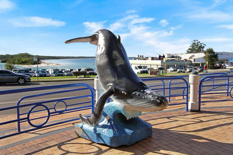 Jervis Bay Waterfront - Accommodation Gladstone 1