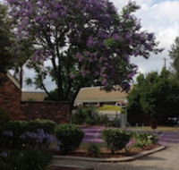 Belvoir Village Motel  Apartments Wodonga - Accommodation Gladstone