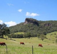 Rosevale House - Accommodation Gladstone