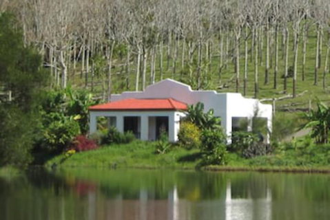 Spicy Oasis - Accommodation Gladstone 5