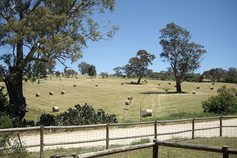 1860 Wine Country Cottages - Accommodation Gladstone 4