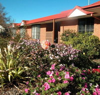 Ambassador Motor Inn Ballarat - Accommodation Gladstone