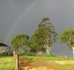 CBR Equine Cottage - Accommodation Gladstone