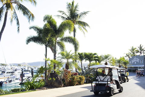 Yacht Club Villas - Accommodation Gladstone 1