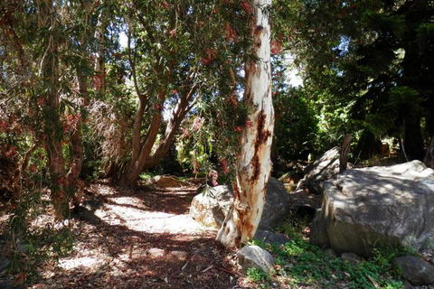 The Hideaway Luxury B & B Retreat - Accommodation Gladstone 6