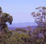Ravensbourne Escape Cedar Lodge - Accommodation Gladstone