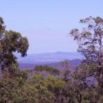 Ravensbourne Escape Cedar Lodge - Accommodation Gladstone 0
