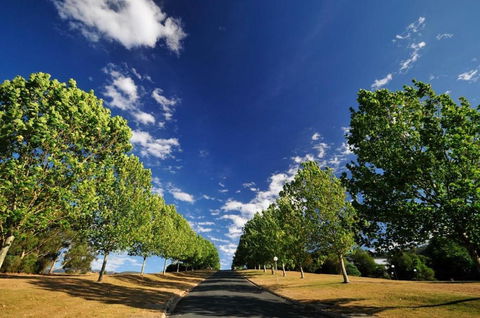 The Sebel Pinnacle Valley Resort - Accommodation Gladstone 1
