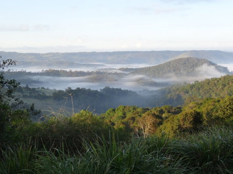 Maleny Luxury Cottages - Accommodation Gladstone 5