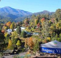 Bogong Village - Accommodation Gladstone