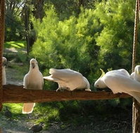 The Burrow At Wombat Bend - Accommodation Gladstone