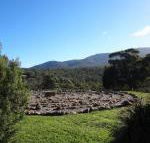 Hawksview at Mafeking - Accommodation Gladstone