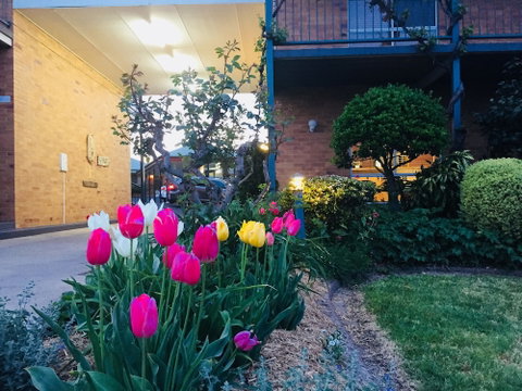 The Vines Motel And Cottages - Accommodation Gladstone 0