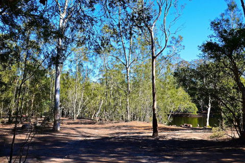 Jervis Bay Cabins & Hidden Creek Campsite - Accommodation Gladstone 1
