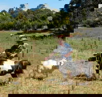 Country Cottages of Bridgetown - Accommodation Gladstone