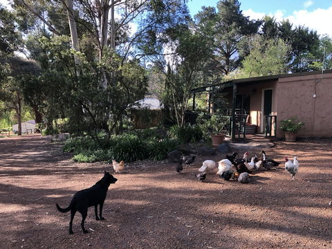 Country Cottages Of Bridgetown - Accommodation Gladstone 4