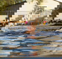Riverside Cabin Park - Accommodation Gladstone