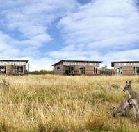 Savannah Cabins - Accommodation Gladstone