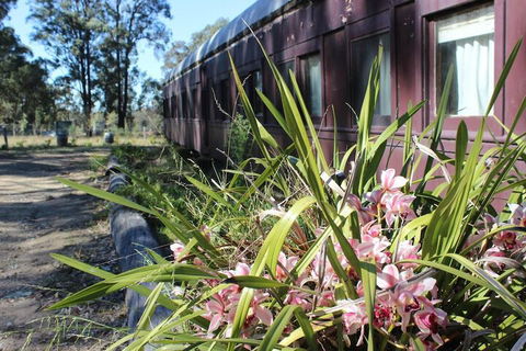 Krinklewood Cottage & Train Carriages - Accommodation Gladstone 2