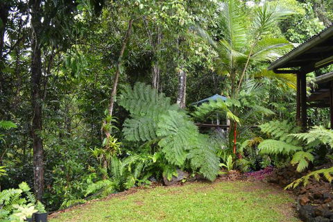 Tropical Bliss Bed & Breakfast - Accommodation Gladstone 6