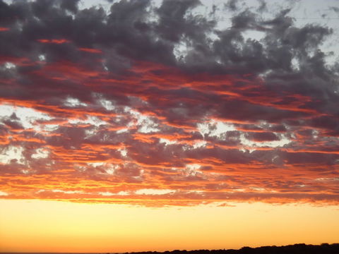 On The Deck @ Shark Bay - Accommodation Gladstone 6