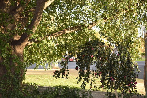 Alkira Motel - Accommodation Gladstone 4