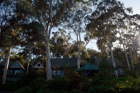 Great Ocean Road Cottages - Accommodation Gladstone 1