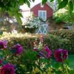 A Country Barn Retreat - Accommodation Gladstone 0