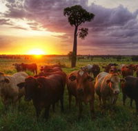 Myella Farm Stay - Accommodation Gladstone