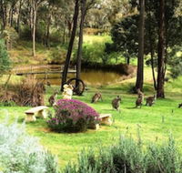 Countryside Connections Tranquil Studio - Accommodation Gladstone