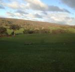 Mancuso Country Cottage Retreat - Accommodation Gladstone