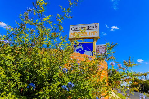 Country Roads Motor Inn Naracoorte - Accommodation Gladstone 3