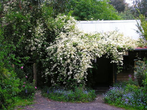Lemonade Creek Cottages - Accommodation Gladstone 4