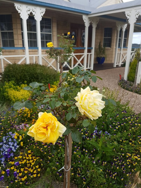 Grovely House Bed & Breakfast - Accommodation Gladstone 3