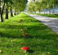 Plovers Ridge Country Retreat - Accommodation Gladstone