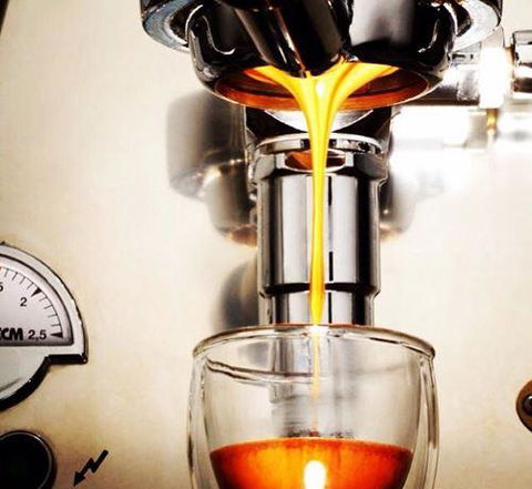 The Coffee Factree - Accommodation Gladstone 9