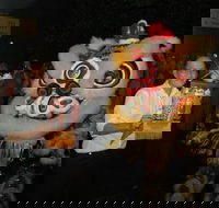 Lion Dance - Accommodation Gladstone