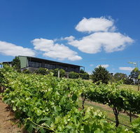 Traralgon Vineyard - Accommodation Gladstone