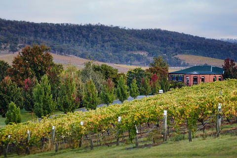 De Bortoli Winery & Restaurant - Accommodation Gladstone 0