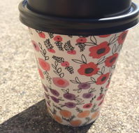 Scatter Bean - Accommodation Gladstone