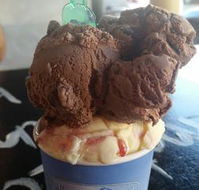 Windsor Ice Cream Cafe - Accommodation Gladstone