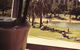 Antiquity Greek Restaurant - thumb 1