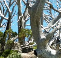 Alpine Eyre - Accommodation Gladstone