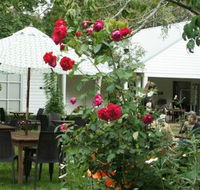 Sturt Coffee - Accommodation Gladstone