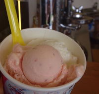 Bermagui Gelati Clinic - Accommodation Gladstone