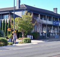 Coachwood  Cedar Motor Hotel Restaurant - Accommodation Gladstone